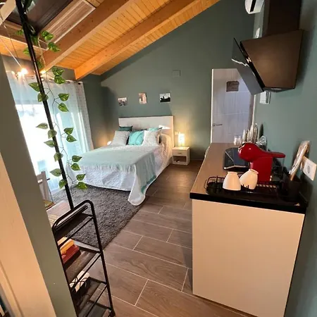 Grupo Garcia De Paredes Turisticos 公寓 *