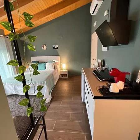 Grupo Garcia De Paredes Turisticos *